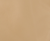 Beige-001