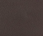 Brown -2