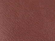 DarkTan-203